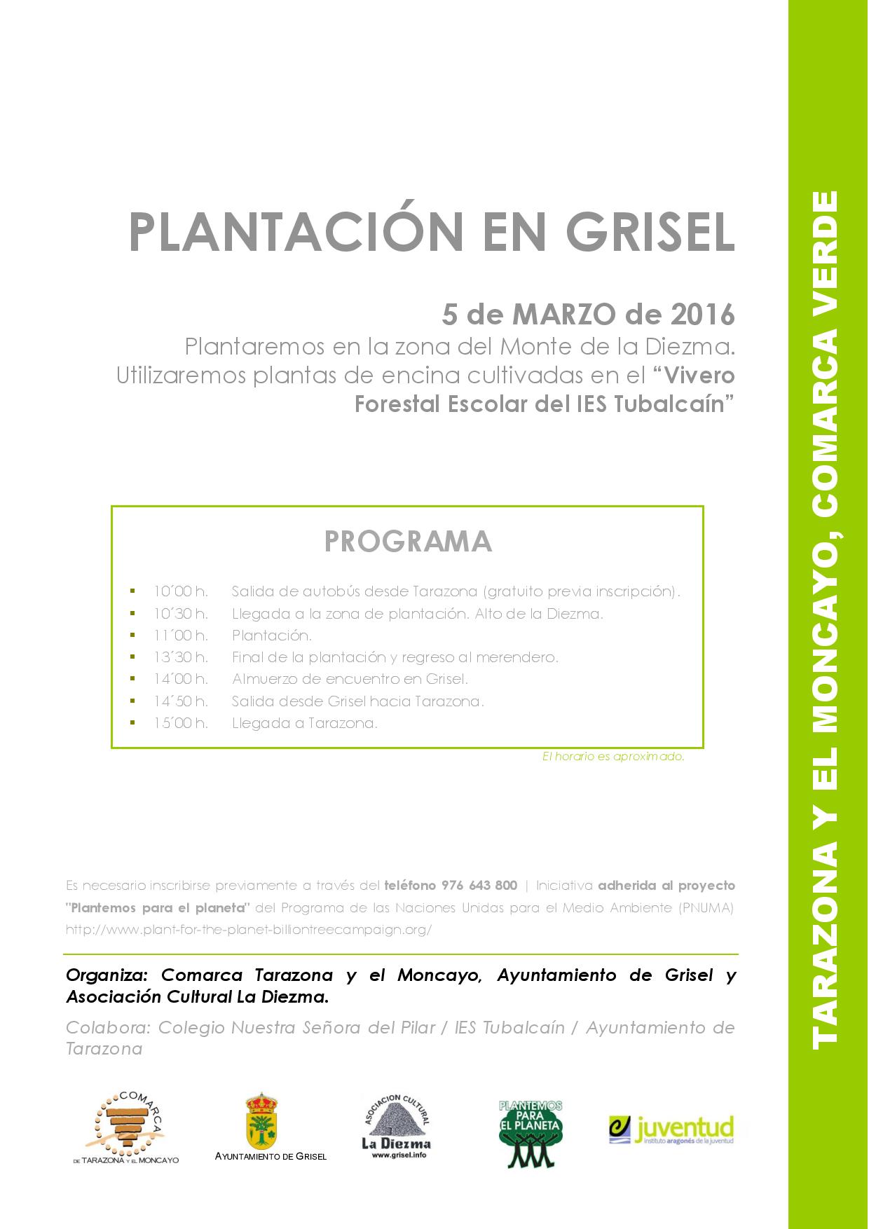 CARTEL PLANTACION GRISEL 16