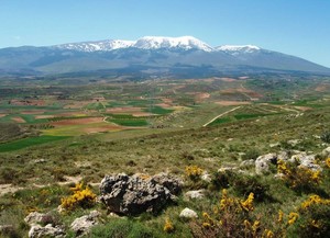 LA VALLUENGA Y MONCAYO AL FONDO DESDE EL ALTO DE LA DIEZMA (Foto: Archivo A.C. La Diezma)