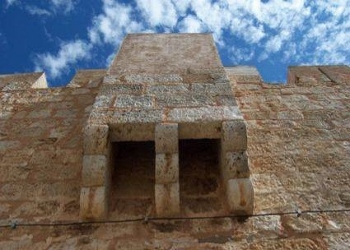 MATACÁN DEL CASTILLO DE GRISEL (Foto: Ramón Alcaine)