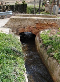 ACEQUIA DE IRUÉS A SU PASO POR EL PONTARRÓN  (Foto: R. Alcaine)