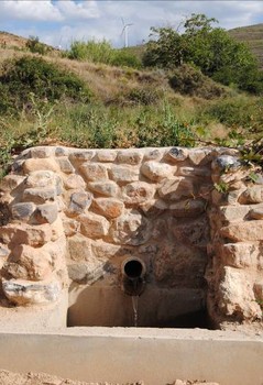 FUENTE DE LA TEJA EN EL CAMINO A STA. CRUZ (Foto: R. Alcaine)