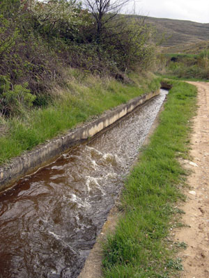 ACEQUIA DE IRUÉS (Foto: Manuel Lozano)